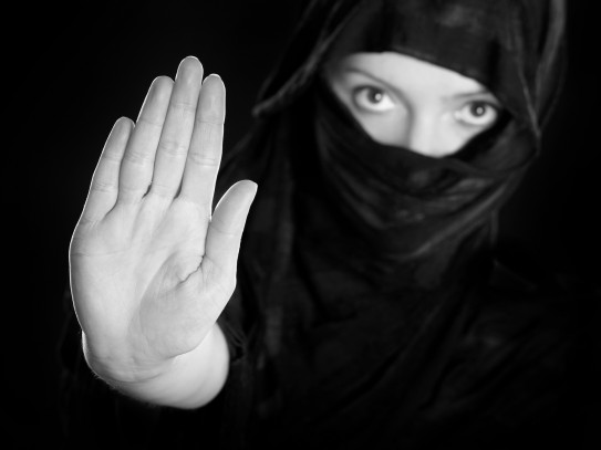New federal law on the ban on concealing the face